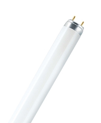 Osram L36W/830 L36W/31-830 LUMILUX T8 36W 830 3000K 3350lm warm wit G13 1200mm 26mm