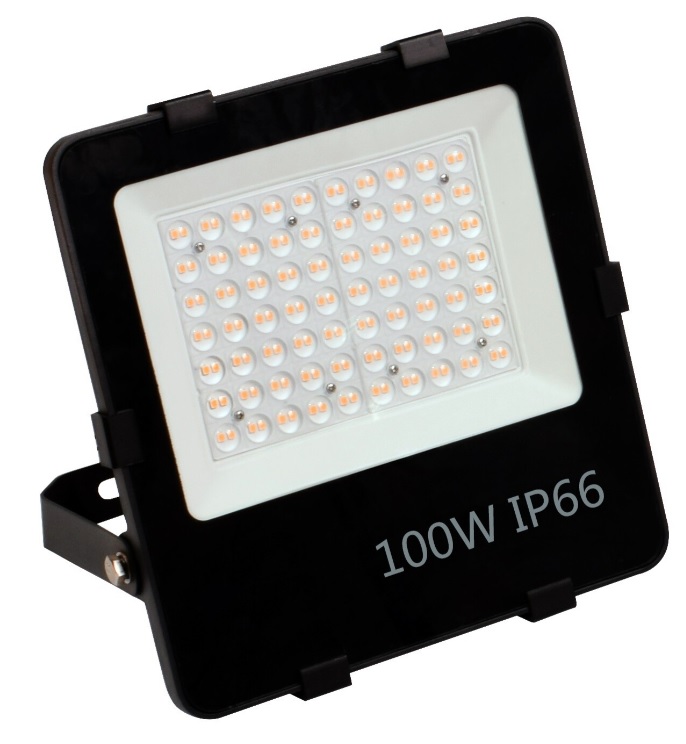 LED floodlight Prolumen 100w 6000k/Daglicht 150lm/w IP66 flikkervrij - philips driver_x000D_
