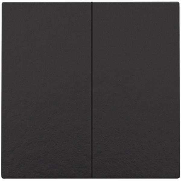 Home Control Drukknop 2-voudig, piano black