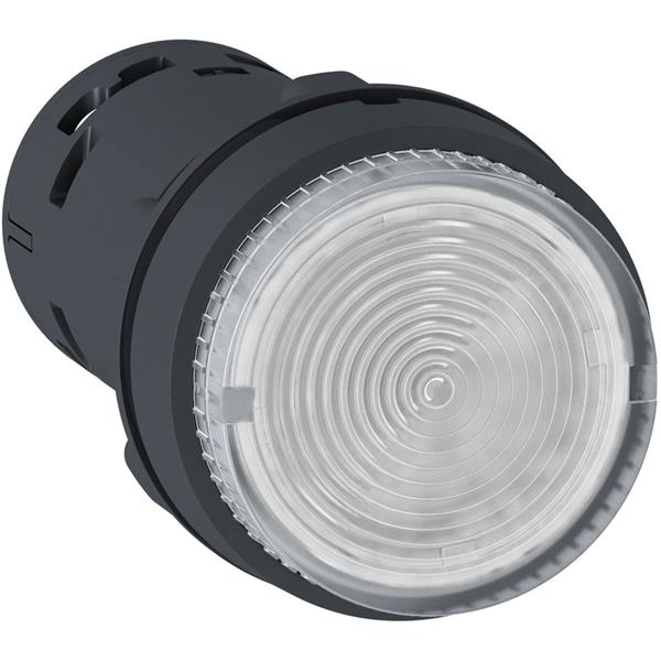 Verlichte impulsdrukknop - LED -1NO - kleurloos - 24V