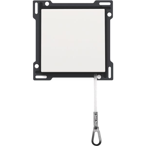 Centraalplaat voor trekschakelaar 16A 250V AC, white steel